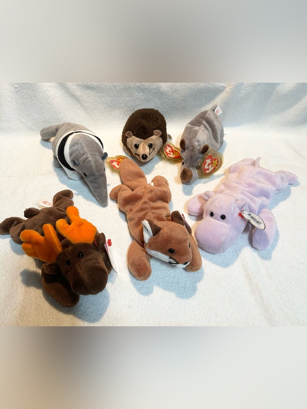 Ty Beanie Babies lot fox moose anteater hedgehog hippo rhinoceros